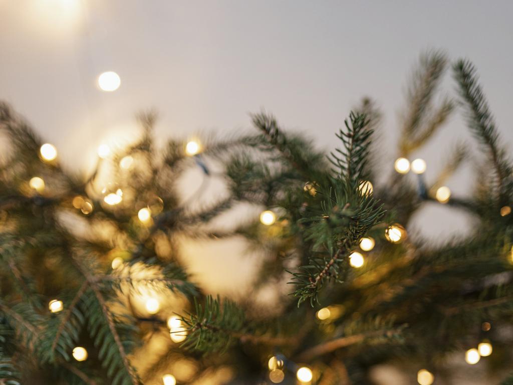 Житель Кіровоградщини отримав штраф за крадіжку ялинкових прикрас