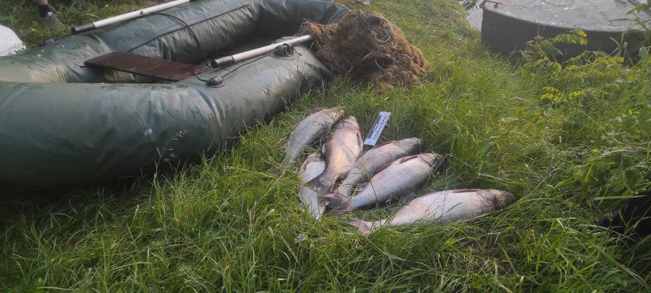 На Кіровоградщині браконьєр наловив риби на понад 21 тисячу гривень