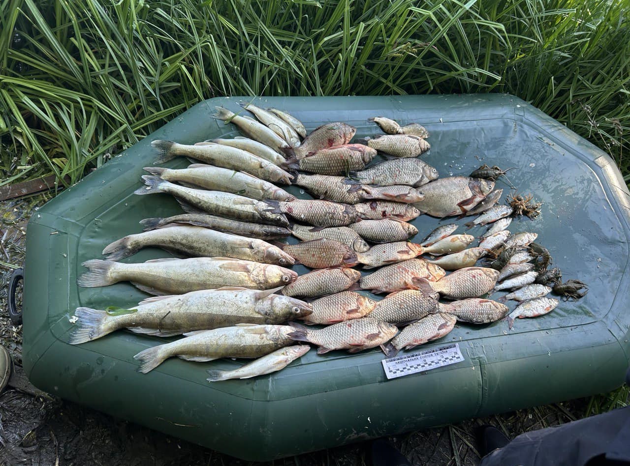 На Кіровоградщині браконьєр наловив риби на понад 133 тисячі гривень