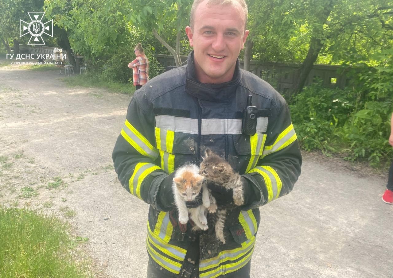 Надзвичайники Кiровоградщини врятували двох кошенят