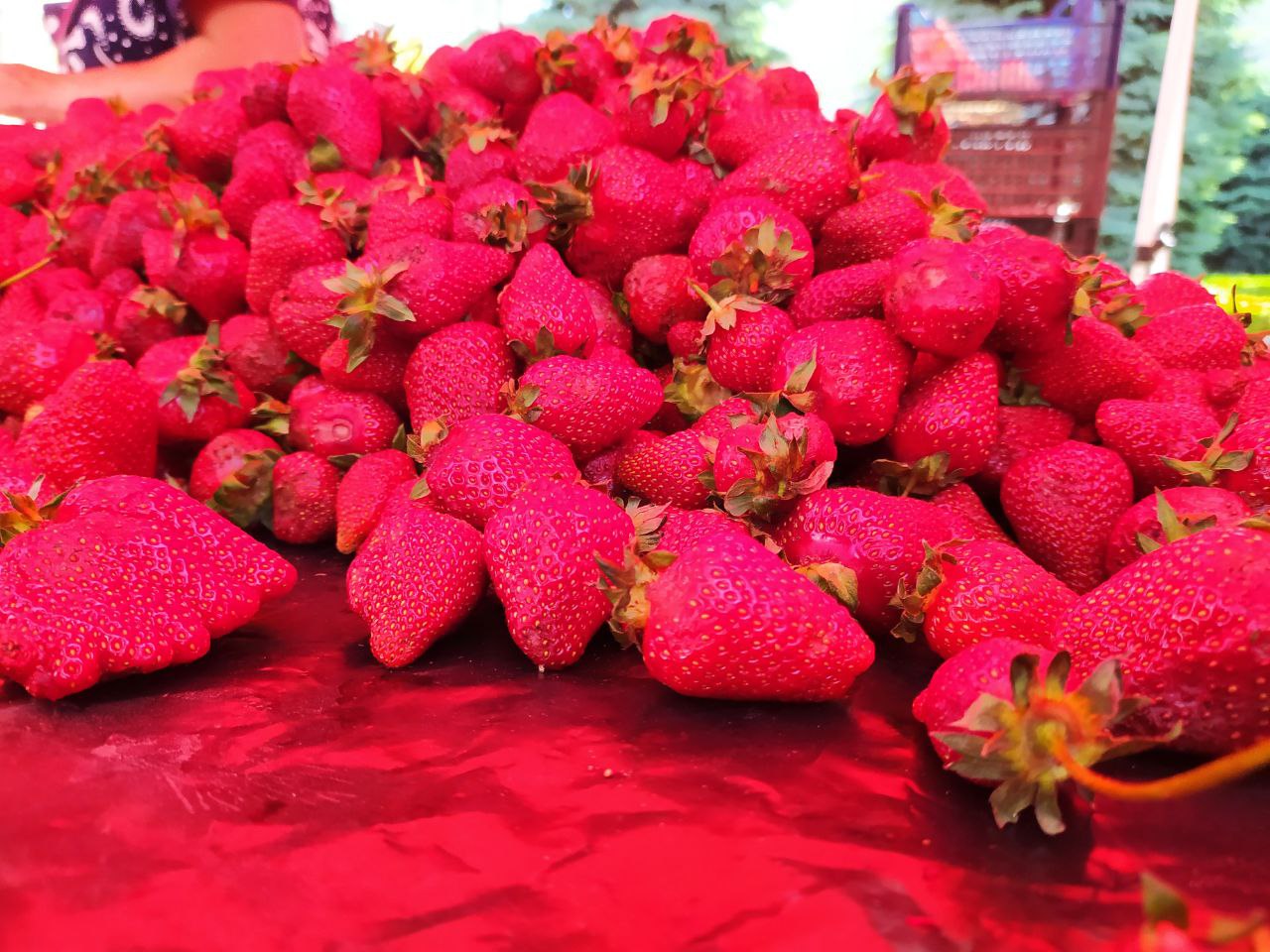 У Кропивницькому сьогодні ярмаркують (ФОТО)