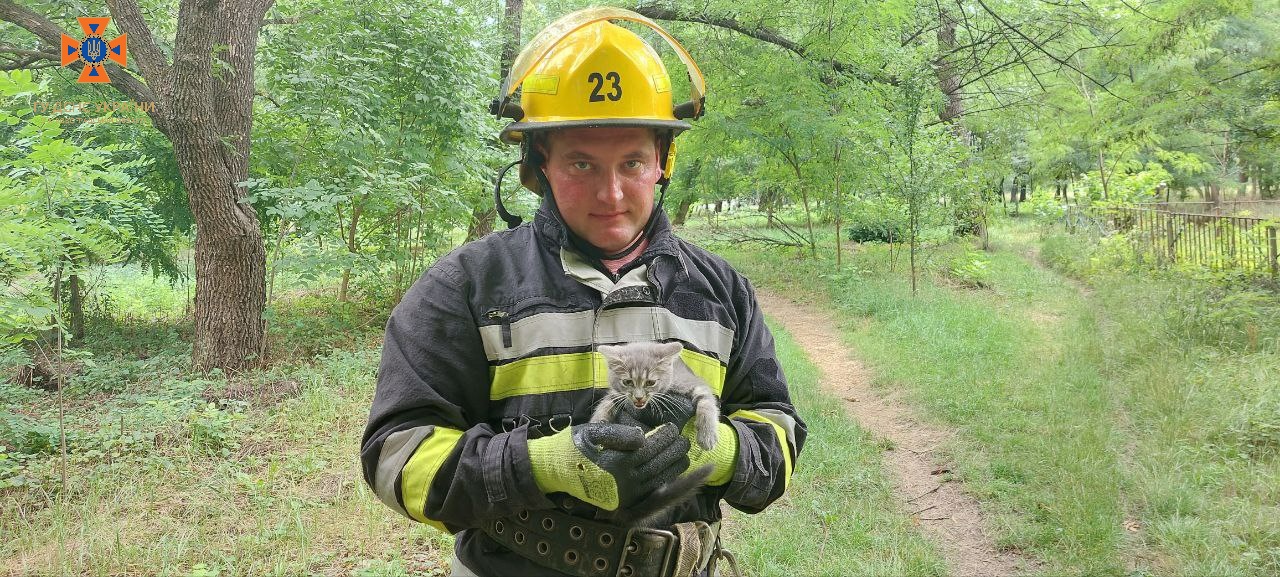 На Кіровоградщині тваринка потрапила в біду