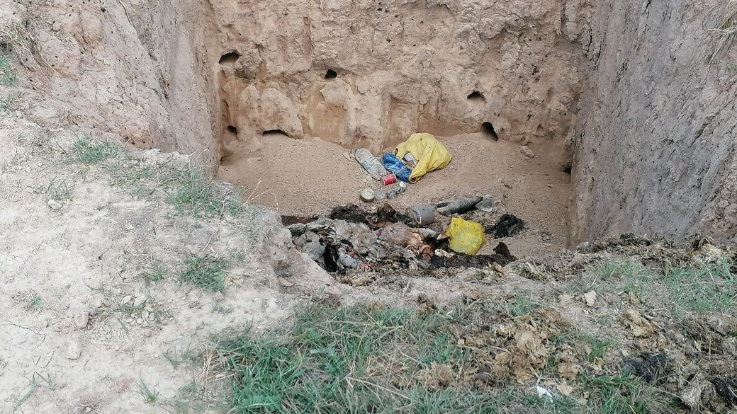 В селi на Кiровоградщинi знайшли яму з рештками тварин