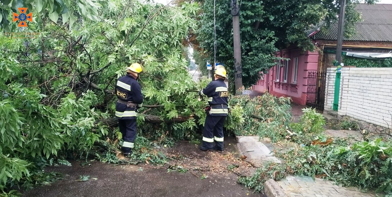 Негода на Кiровоградщинi повалила дерева