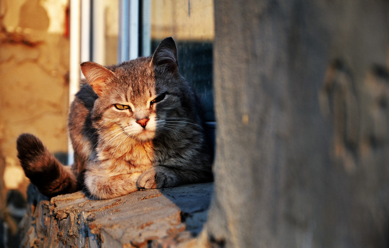 Яку погоду на сьогоднi обiцяють жителям Кiровоградщини?