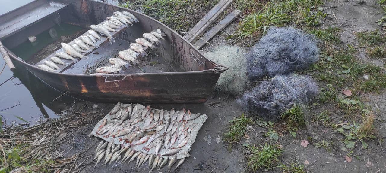 Троє чоловіків браконьєрили на Кіровоградщині