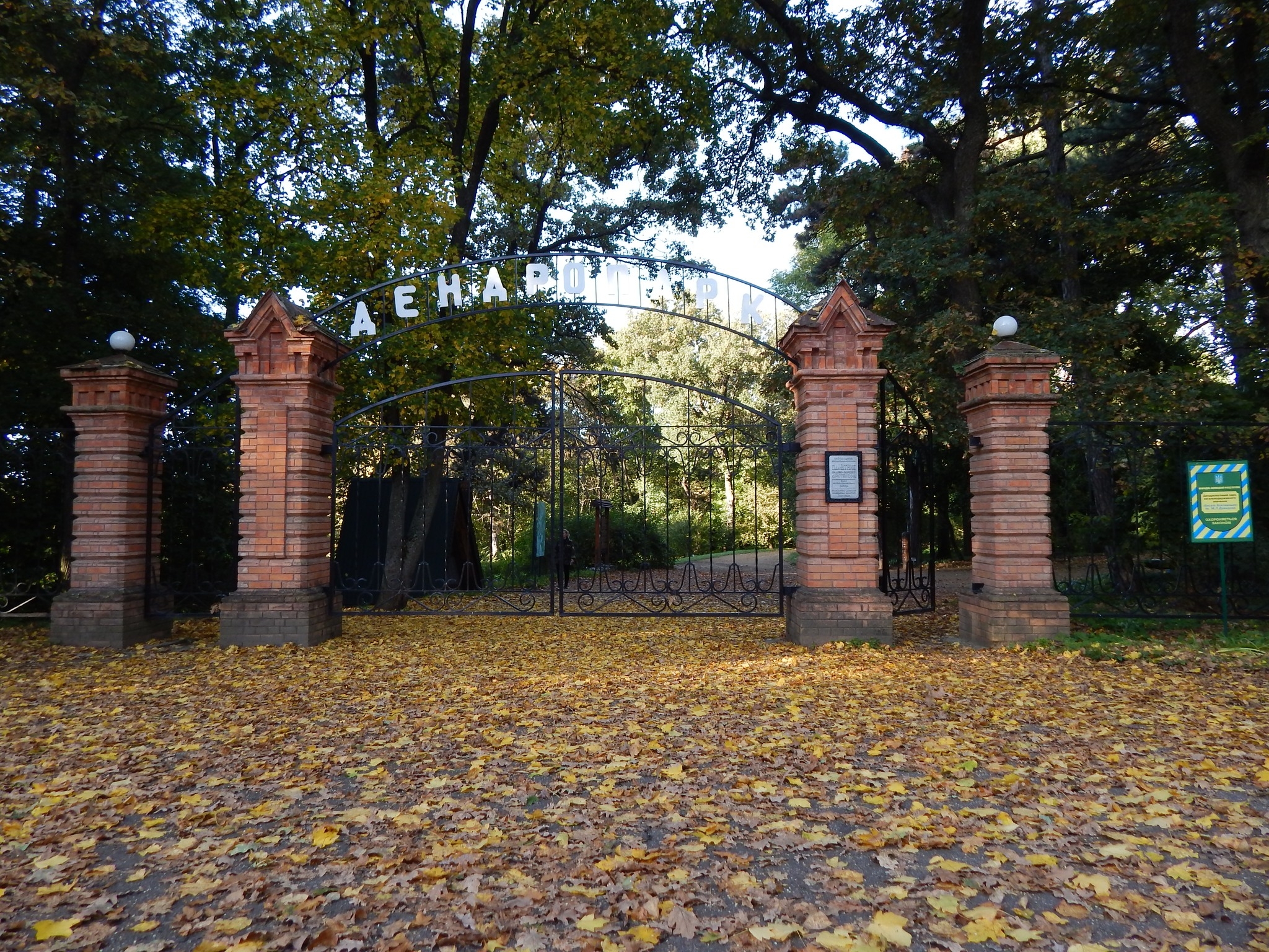 У дендропарку на Кiровоградщинi пропонують саджанцi