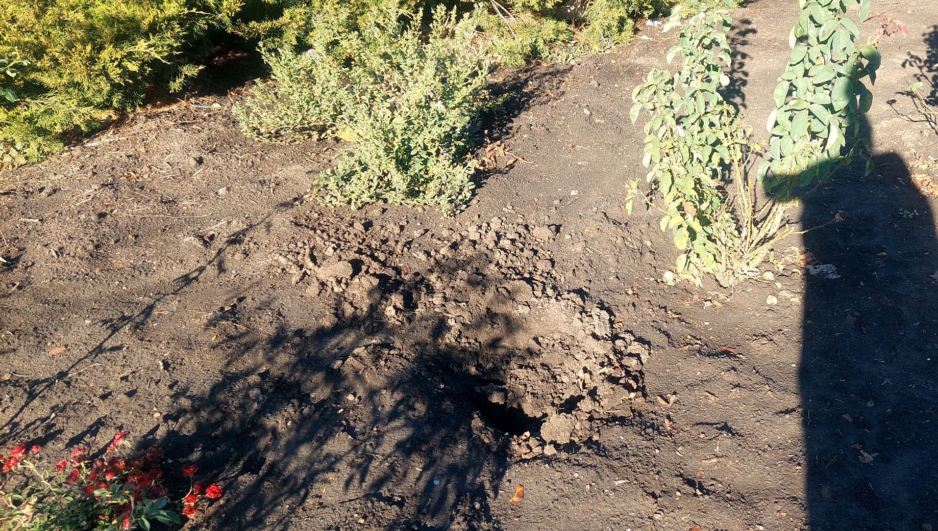 Квiткових злодiїв у Кропивницькому обiцяють покарати