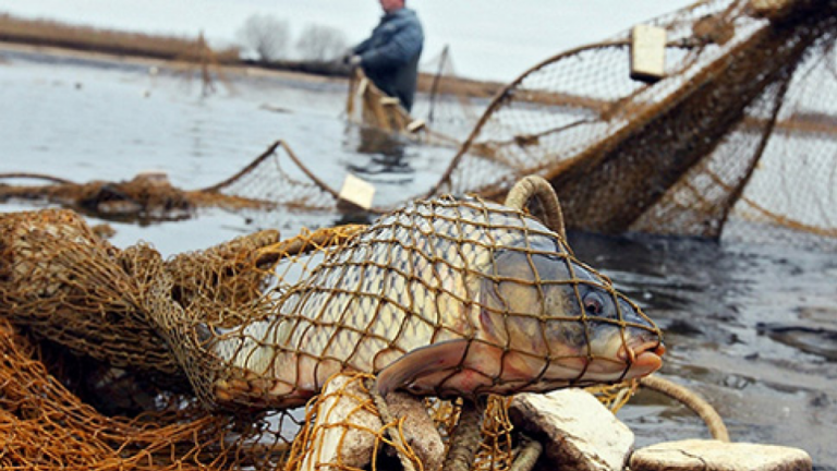 Рибалок Кiровоградщини попередили про заборону на вилов риби