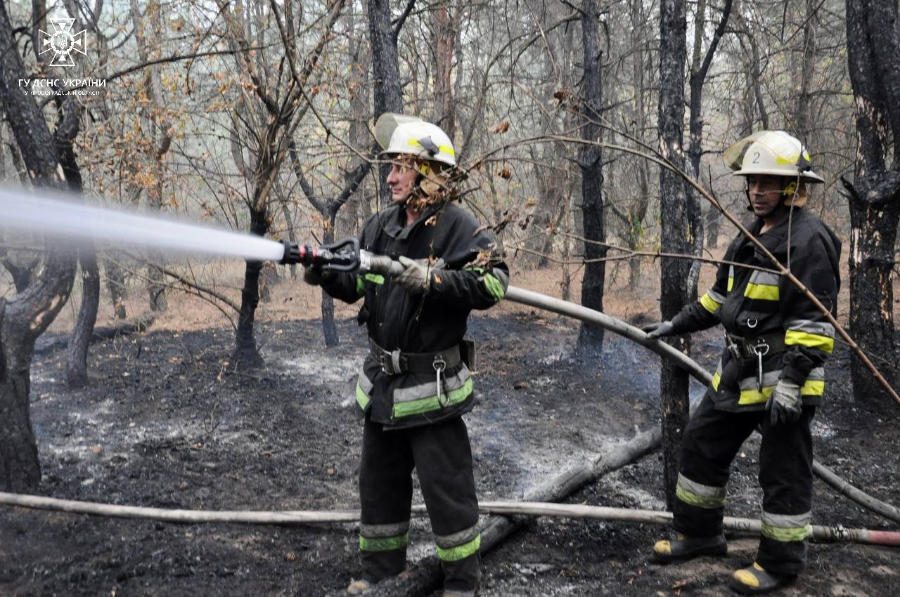 На Кіровоградщині гасили лісову пожежу