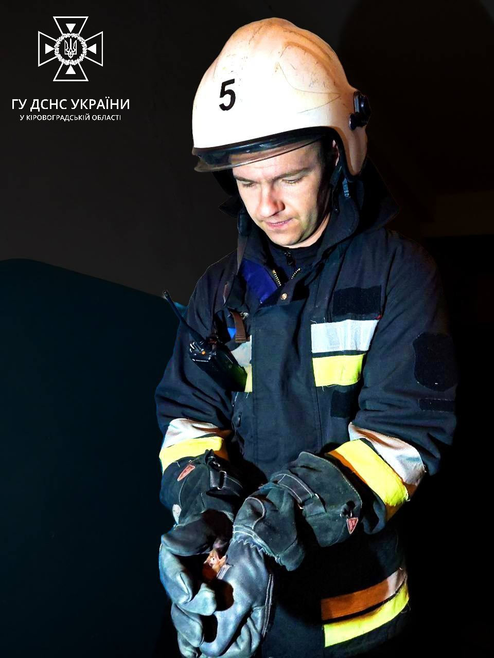 В кропивницьку квартиру залетiв кажан