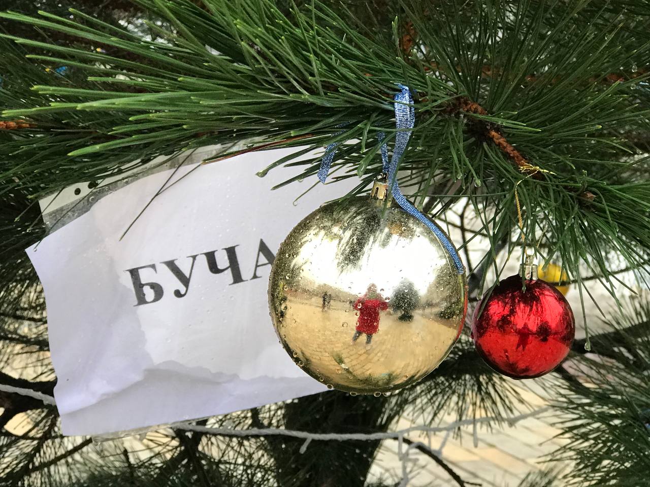 Кропивничанам розповіли про головну ялинку області