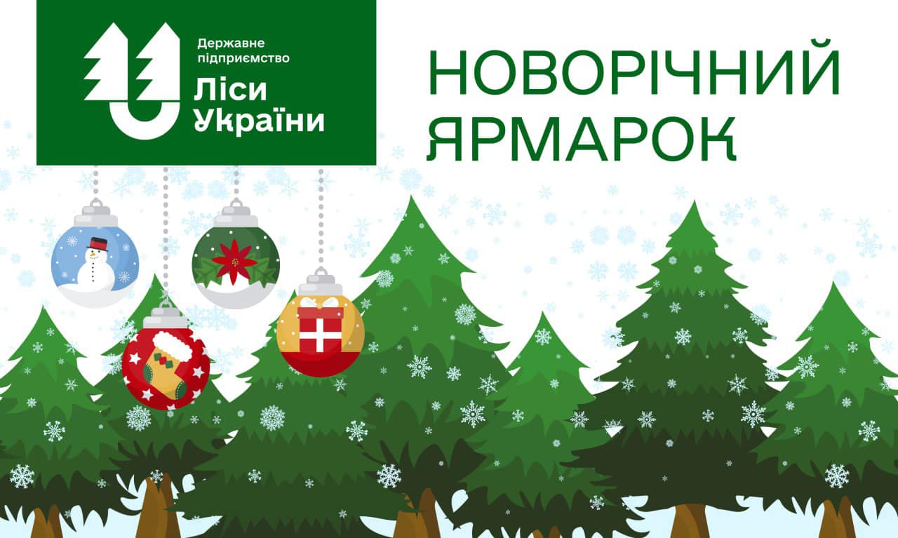 Де жителям Кіровоградщини пропонують придбати новорічну ялинку? (АДРЕСИ)