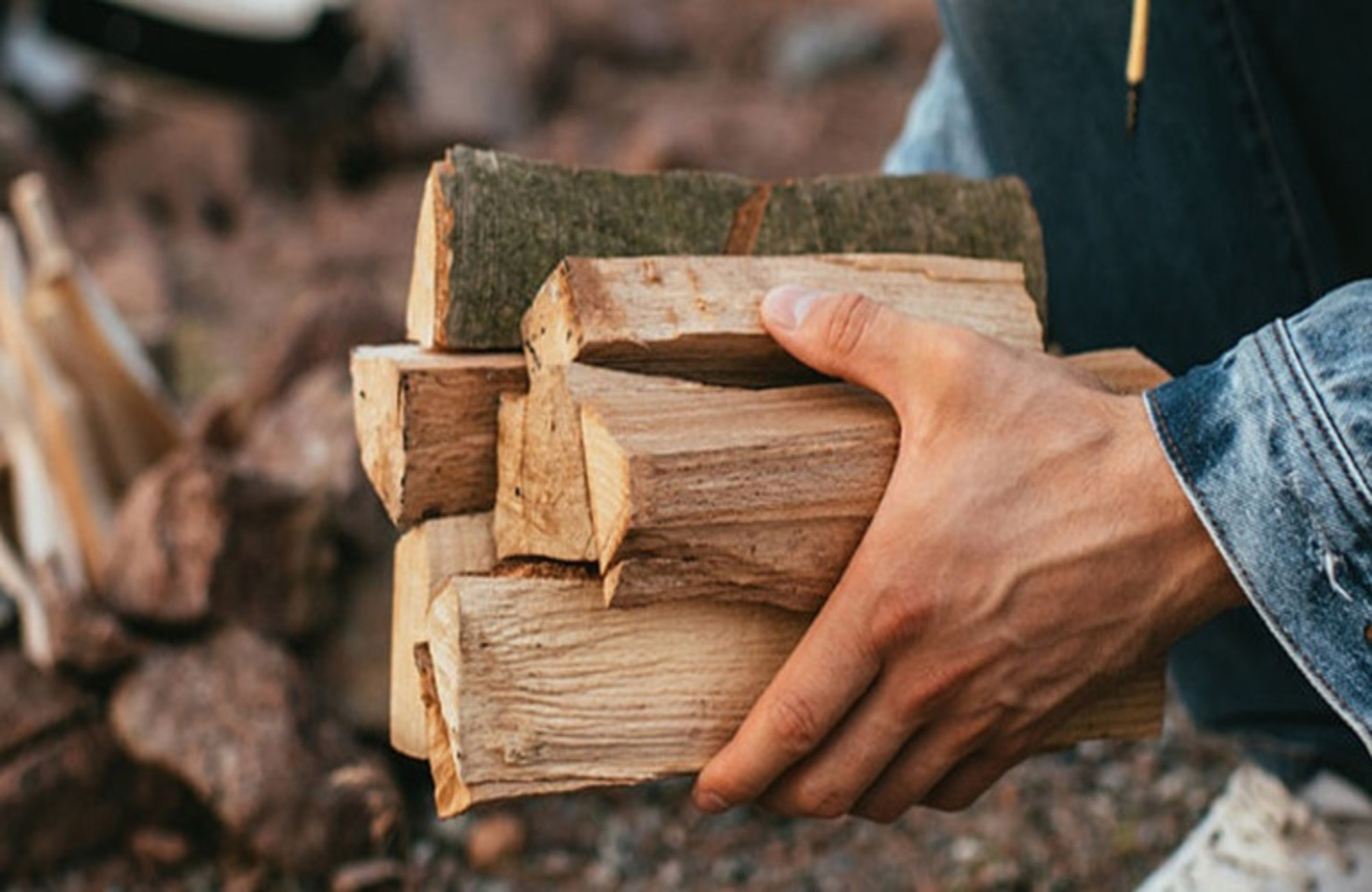 На Кiровоградщинi продали понад 150 тисяч кубометрiв дров