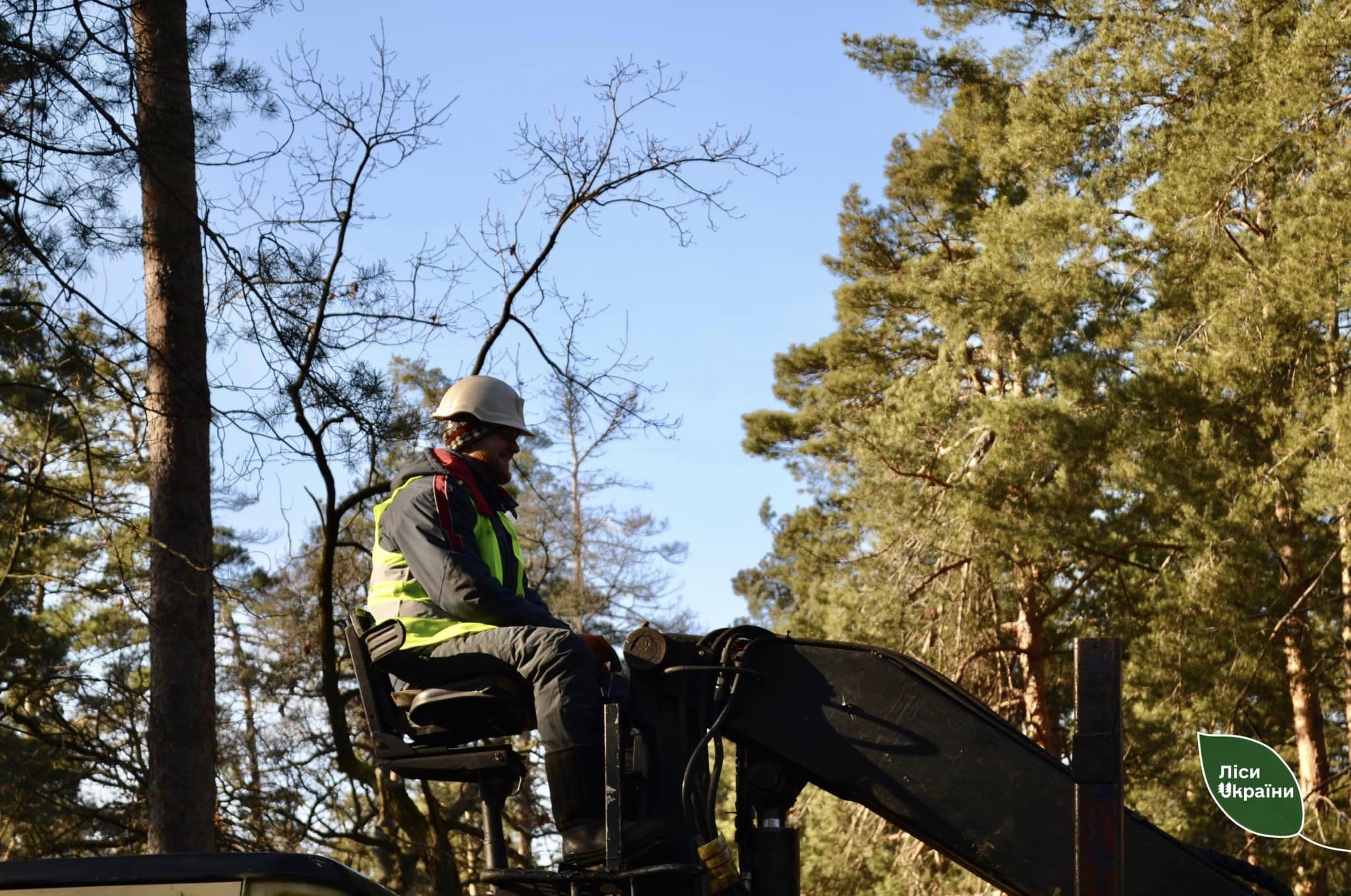 Лiсiвники Кiровоградщини забезпечують вiйськових деревиною