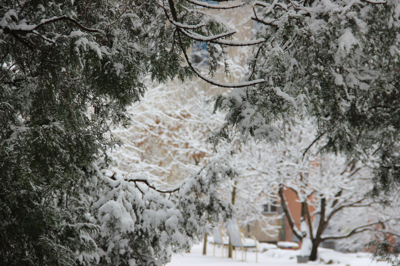 Кропивницький під білою ковдрою сніжного січня (ФОТО)