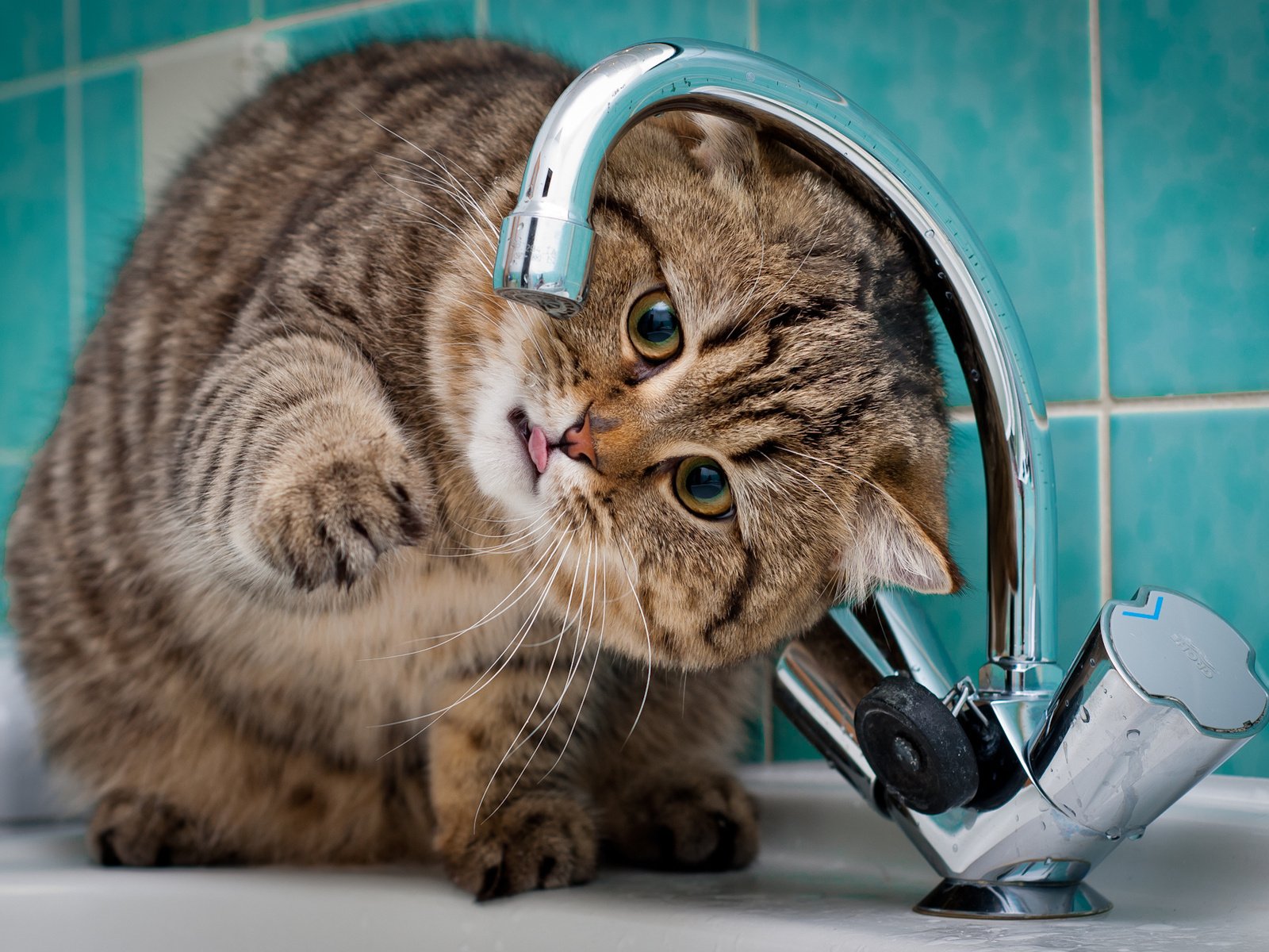 У Кропивницькому за низкою адрес ремонтують водомережі