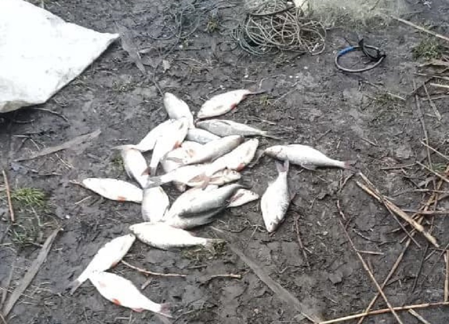 На Кіровоградщині зловили браконьєра, який ловив рибу сіткою