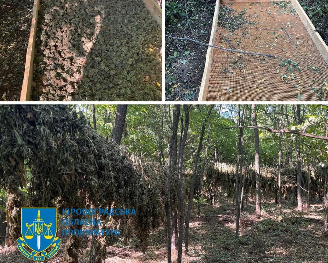 На Кіровоградщині судитимуть наркоторговцiв