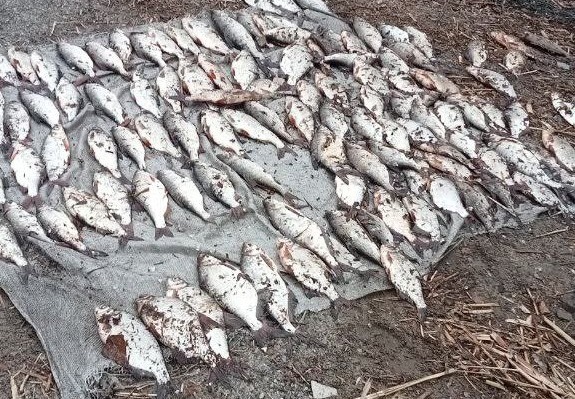 На Кіровоградщині затримали любителя риболовлі з сітками