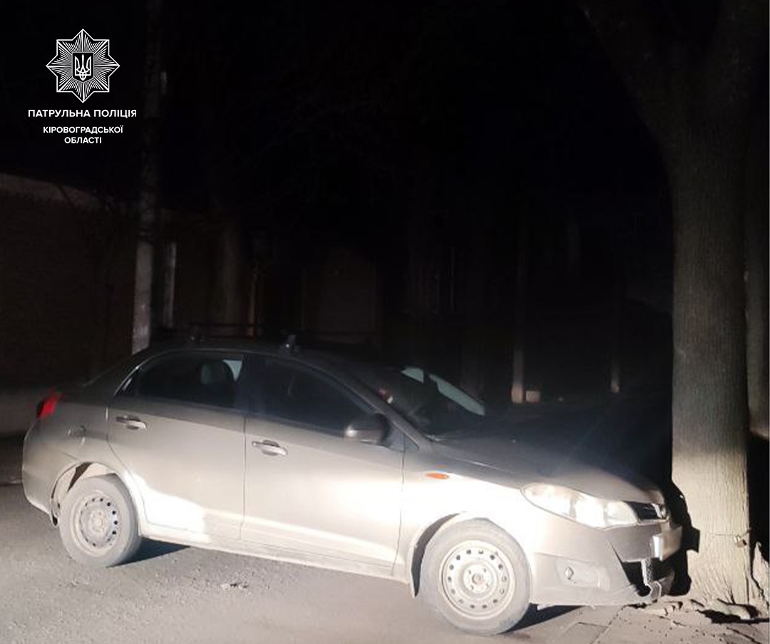 У Кропивницькому п’яний водій в’їхав у дерево