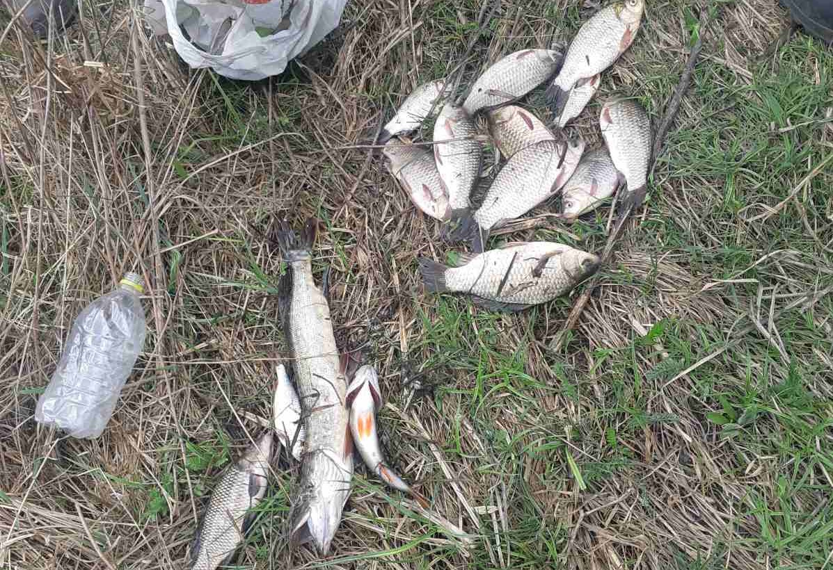 На Кіровоградщині чоловік ловив рибу “павуком”