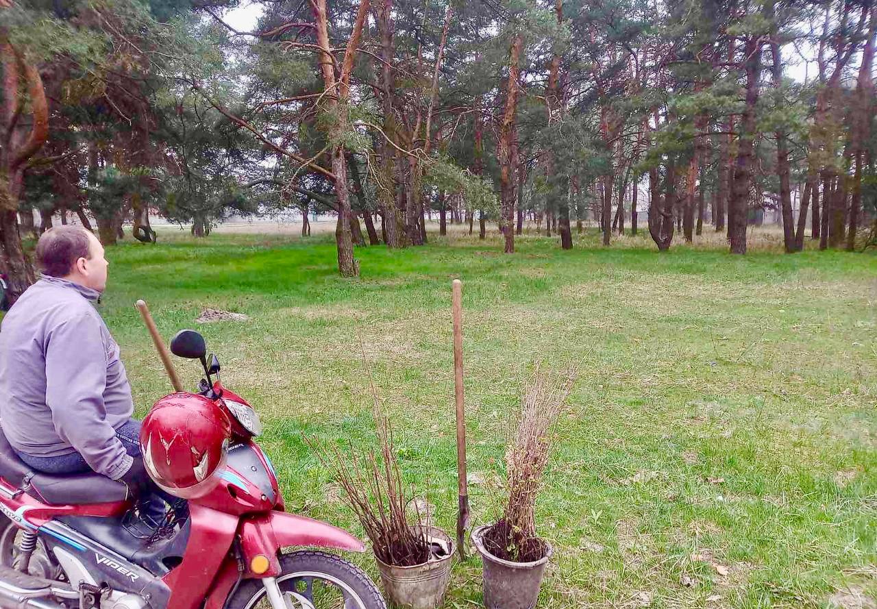 У парку на Кiровоградщинi висадили саджанцi дубів