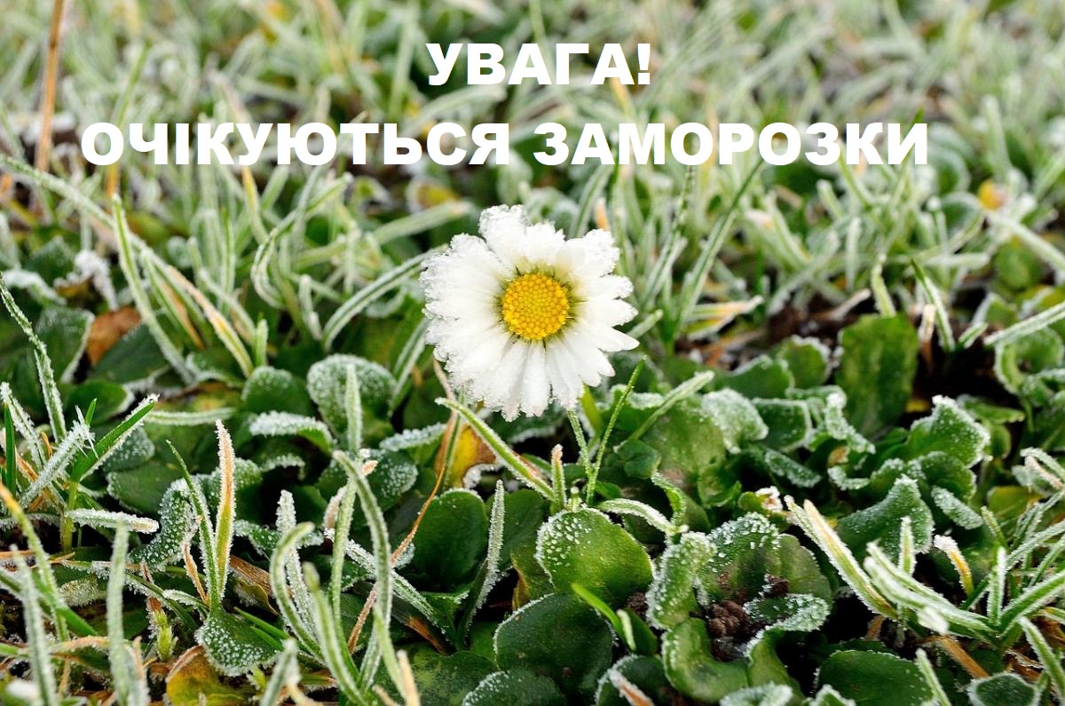 Жителiв Кiровоградщини попереджають про заморозки