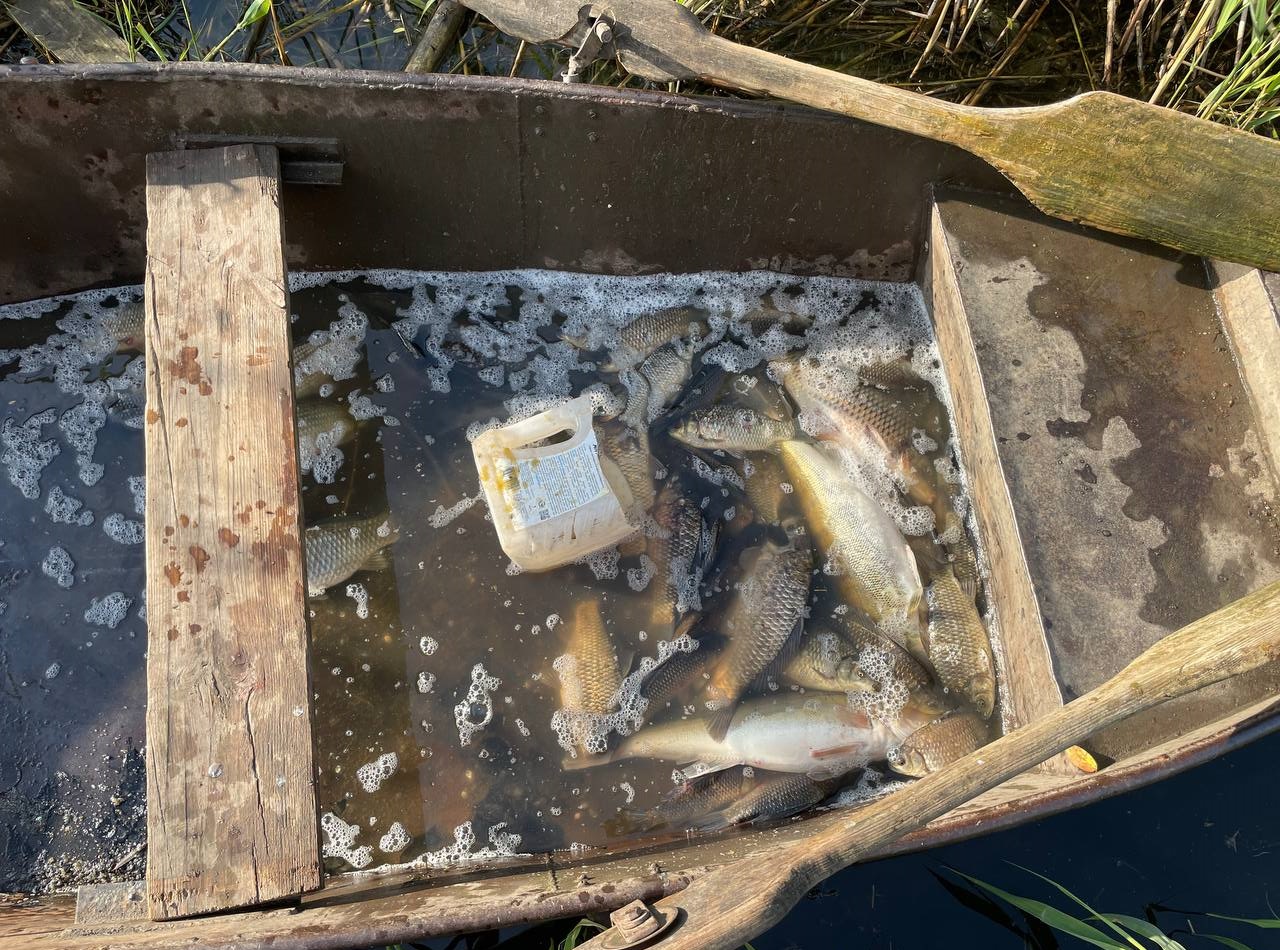 На Кіровоградщині браконьєр ловив рибу та раків