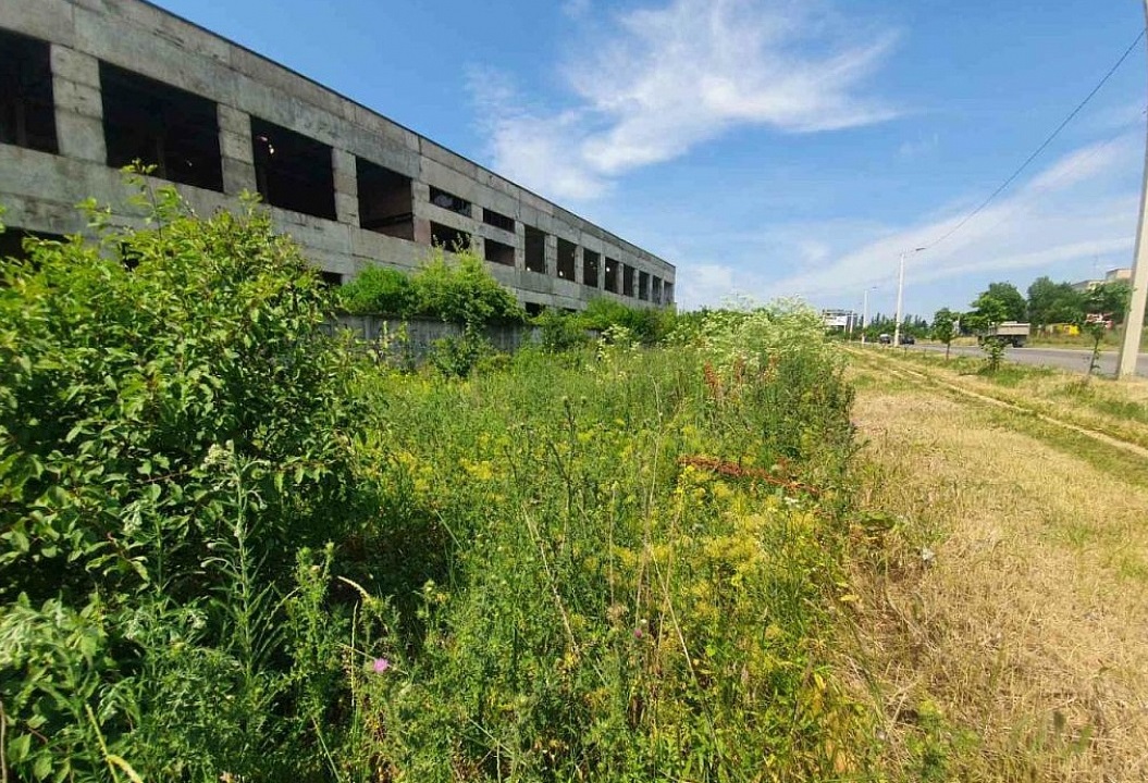 У Кропивницькому каратимуть за нескошений бур’ян