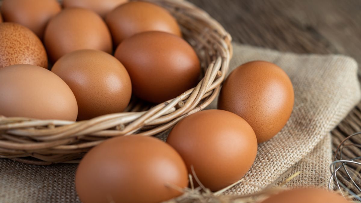 На Кіровоградщині подешевшали курячі яйця