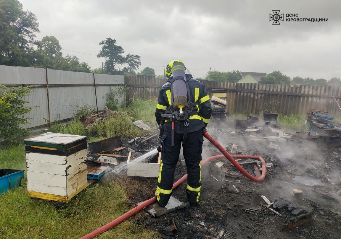 В Кропивницькому районi загорiлися вулики на пасiцi