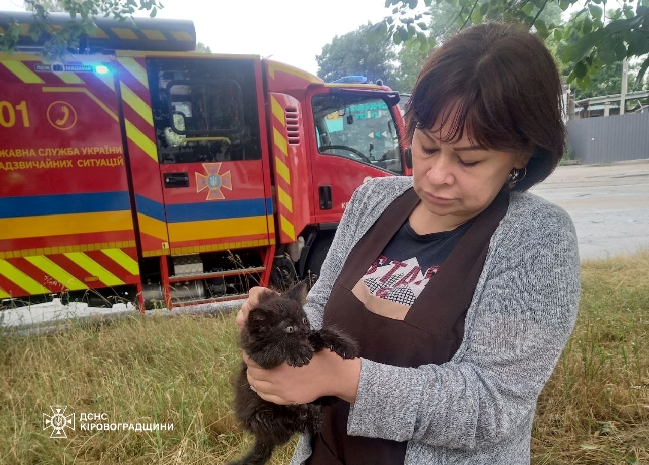 У Кропивницькому кiт застряг на деревi