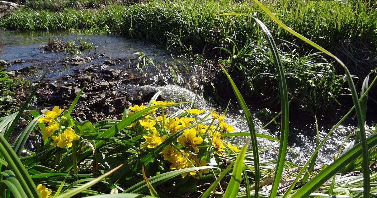 Прогноз погоди на 23 липня по Кiровоградщинi