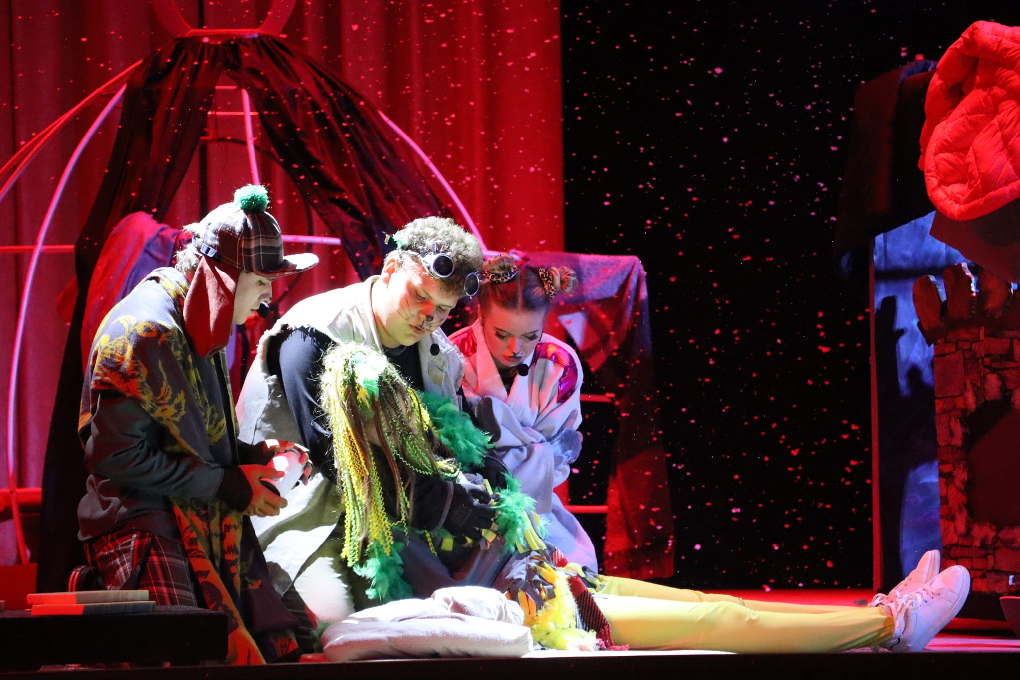 В Олександрії провели благодійну виставу на підтримку тварин