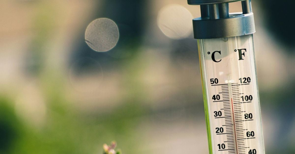 На Кіровоградщині прогнозують надзвичайну спеку