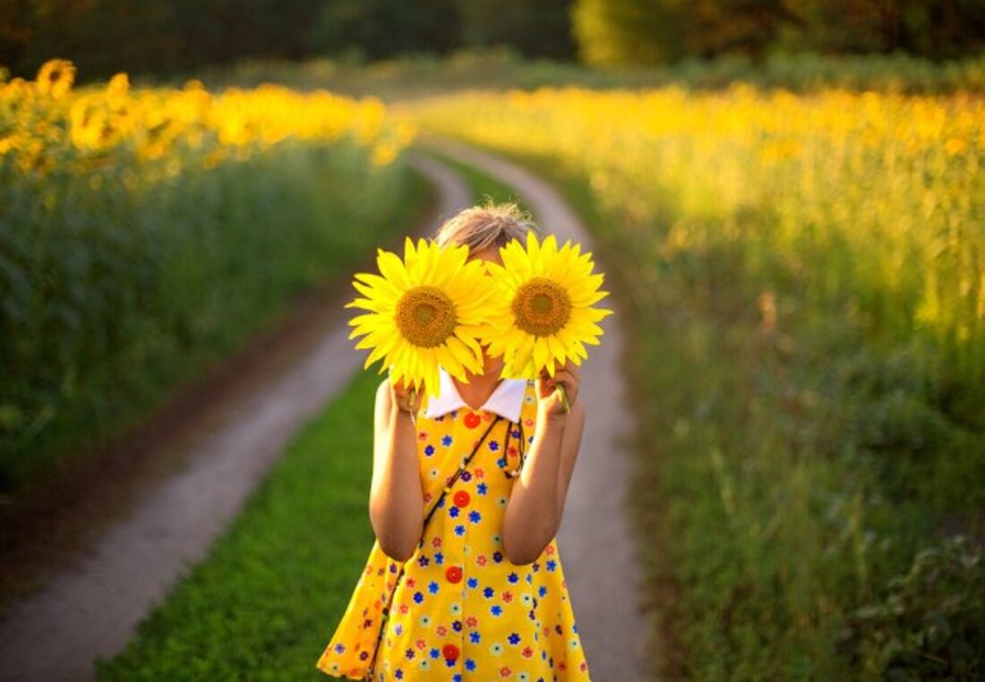 Прогноз погоди на 8 липня по Кіровоградщині