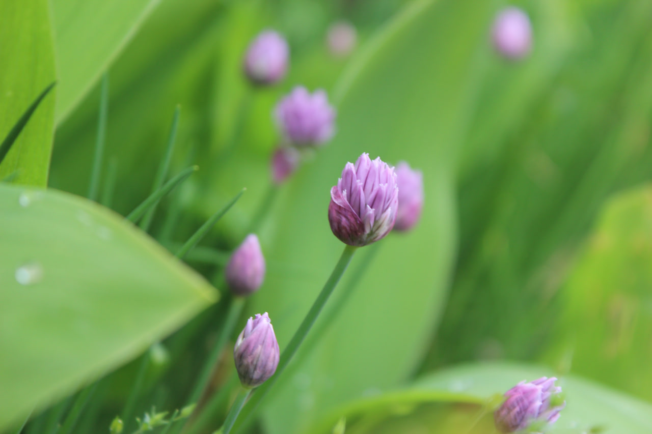 На Кіровоградщині сьогодні без опадів