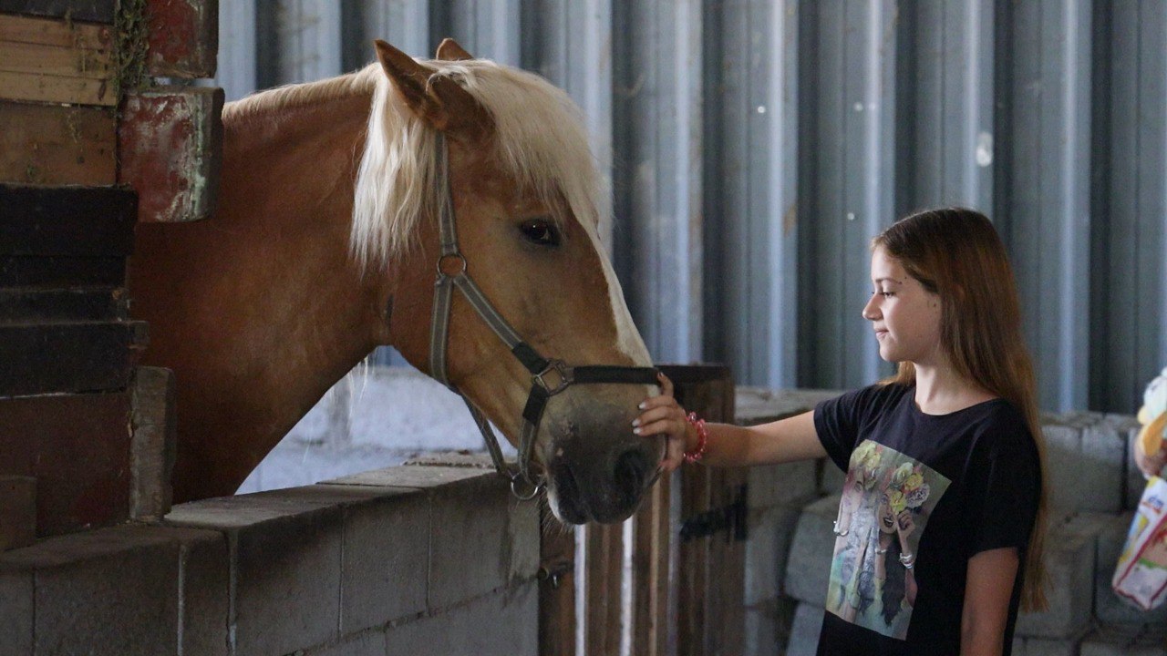 Екотабір для дітей захисників працює у Кропивницькому (ФОТО)