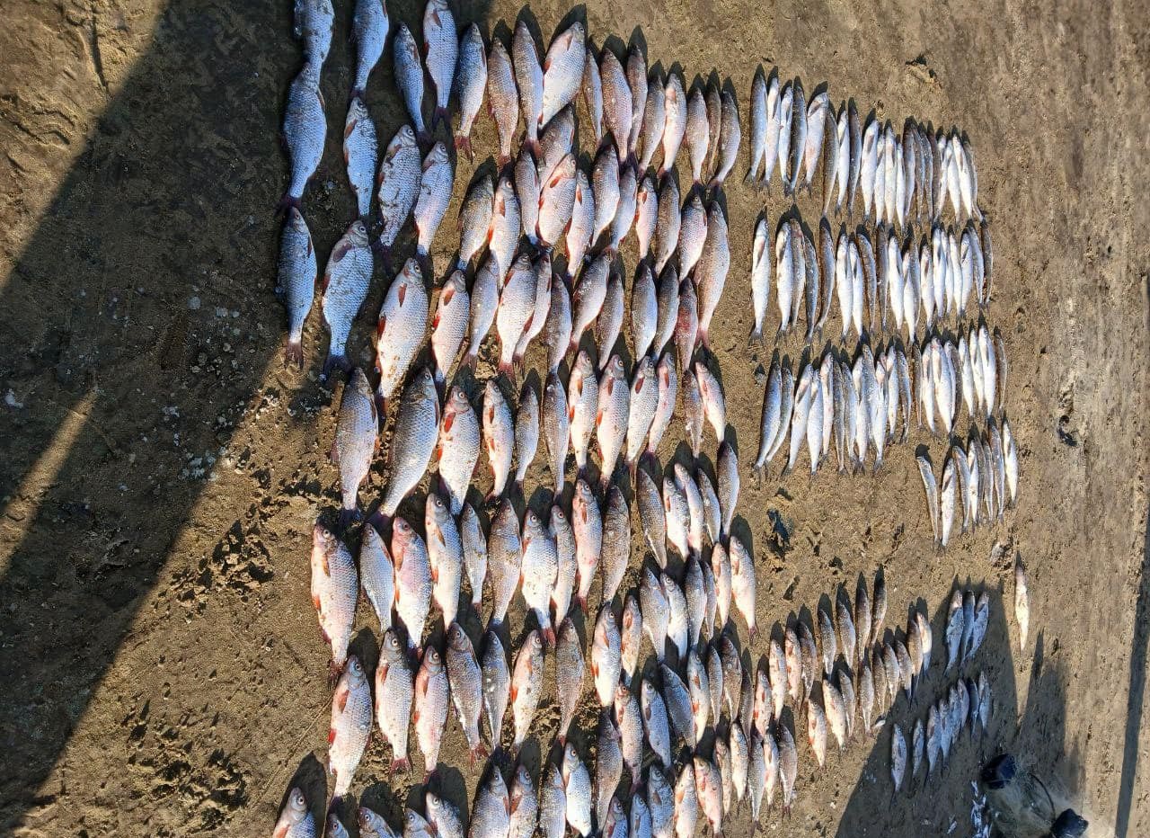 Браконьєр з Кіровоградщини наловив риби на понад 300 тисяч гривень