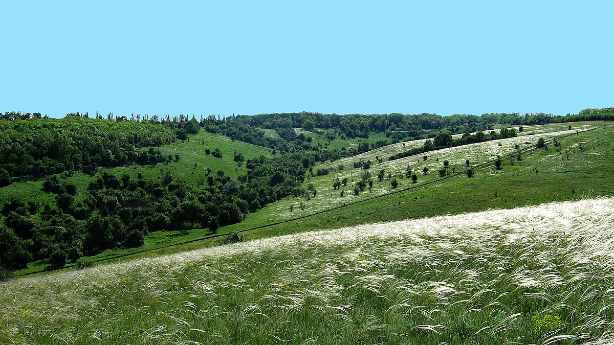 У власність держави повернуть землі на Кіровоградщині вартістю 77 млн гривень