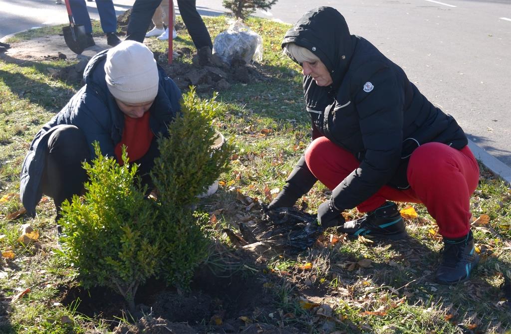 У Новомиргороді створюють зелену зону
