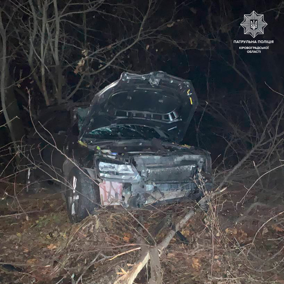 Поблизу Кропивницького п’яний водій не впорався з керуванням