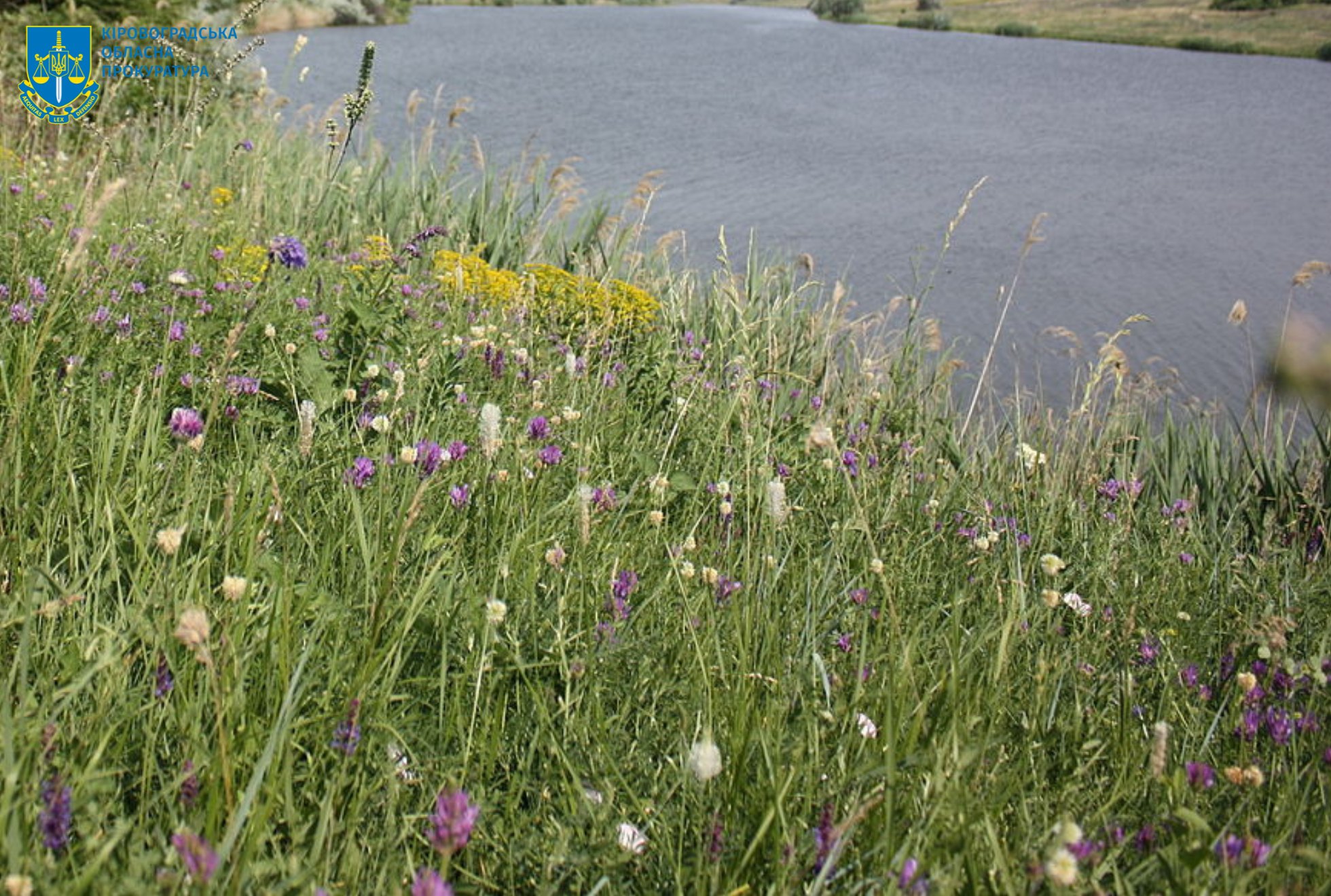 У власність держави повернуть землі вартістю 18 млн гривень на Кіровоградщині