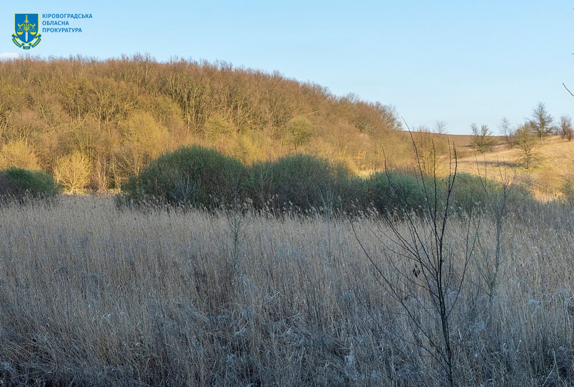 На Кіровоградщині землі ботанічного заказника ледь не стали сільськогосподарськими
