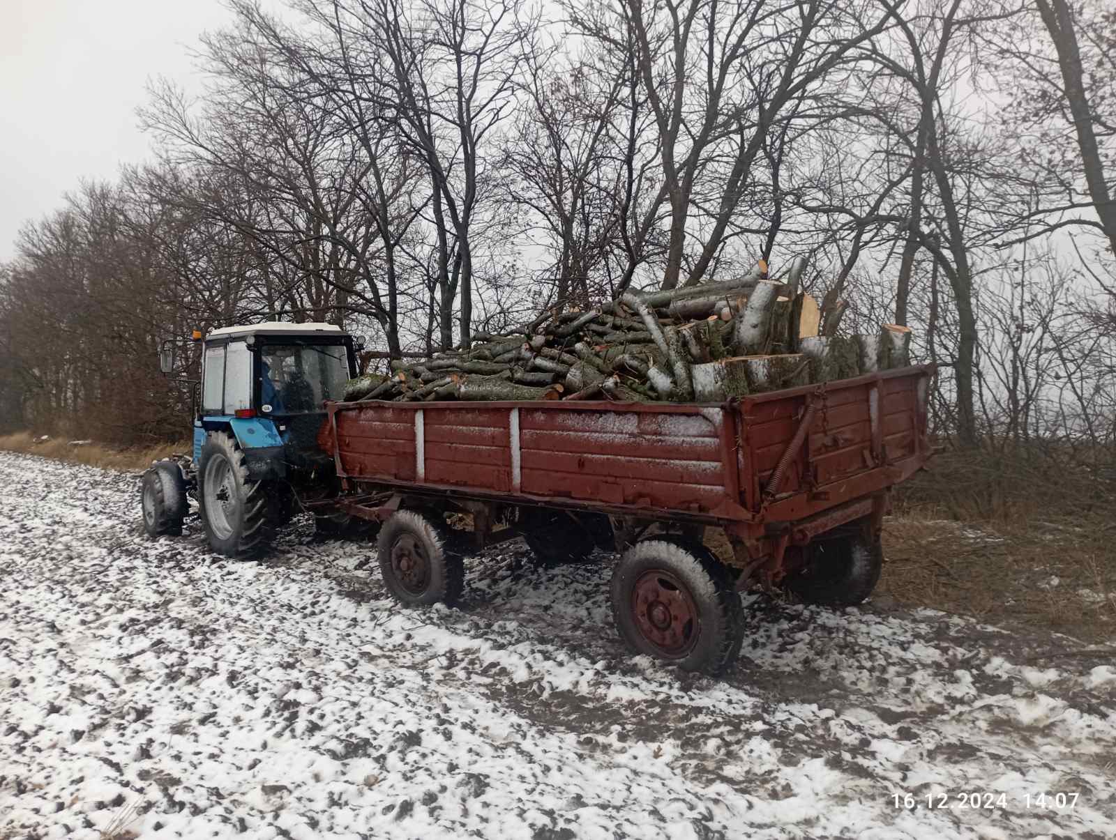 На Кіровоградщині “чорні лісоруби” знищили дерев на півмільйона гривень