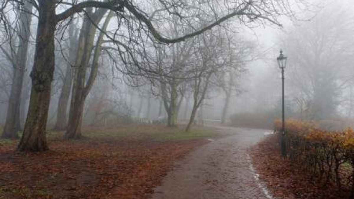 Прогноз погоди на 23 грудня по Кіровоградщині