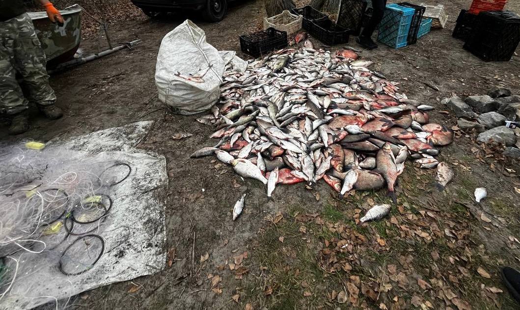 На Кiровоградщинi чоловiки незаконно наловили риби на понад два мiльйони
