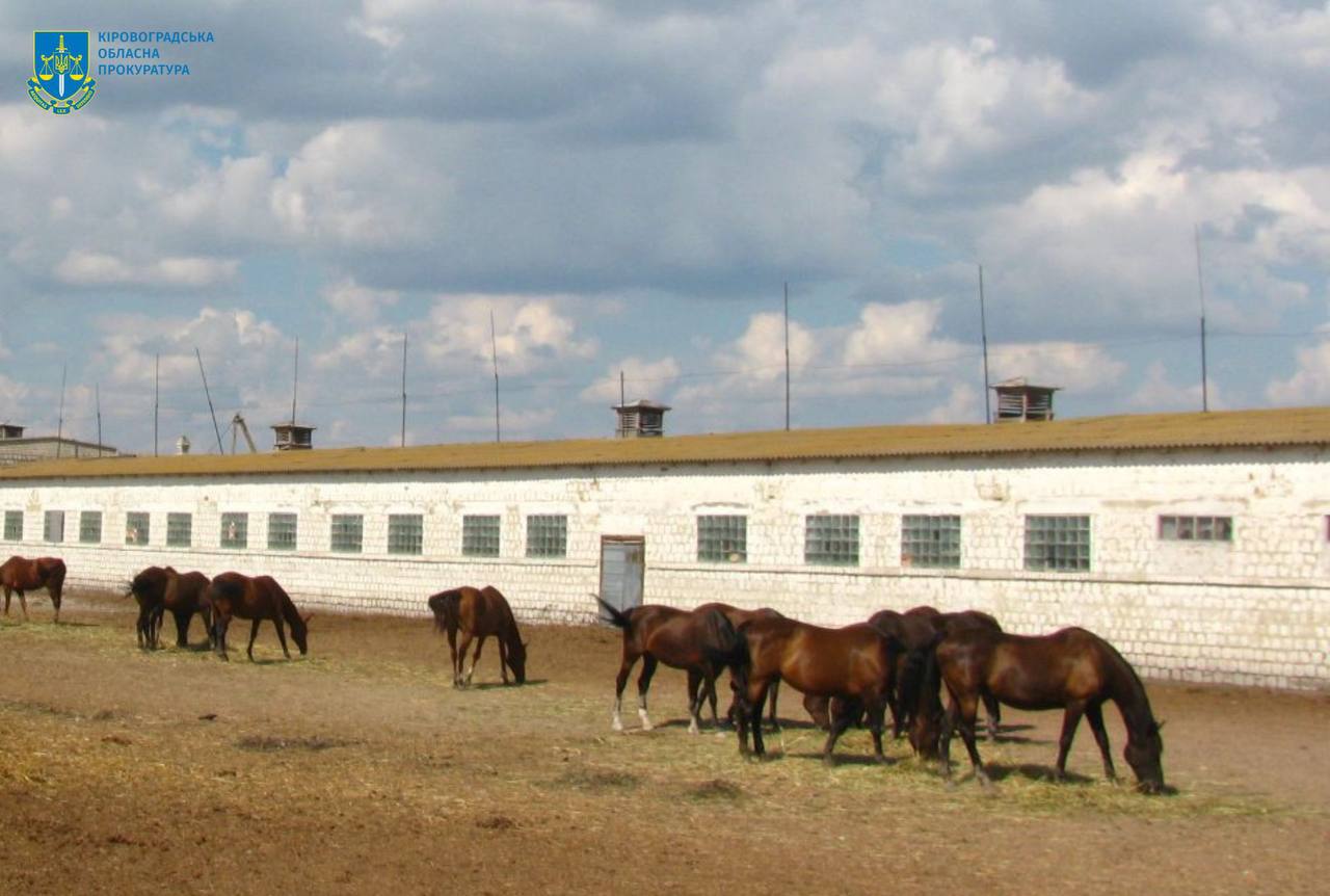 Кiнному заводу на Кiровоградщинi повернуть у власнiсть землi