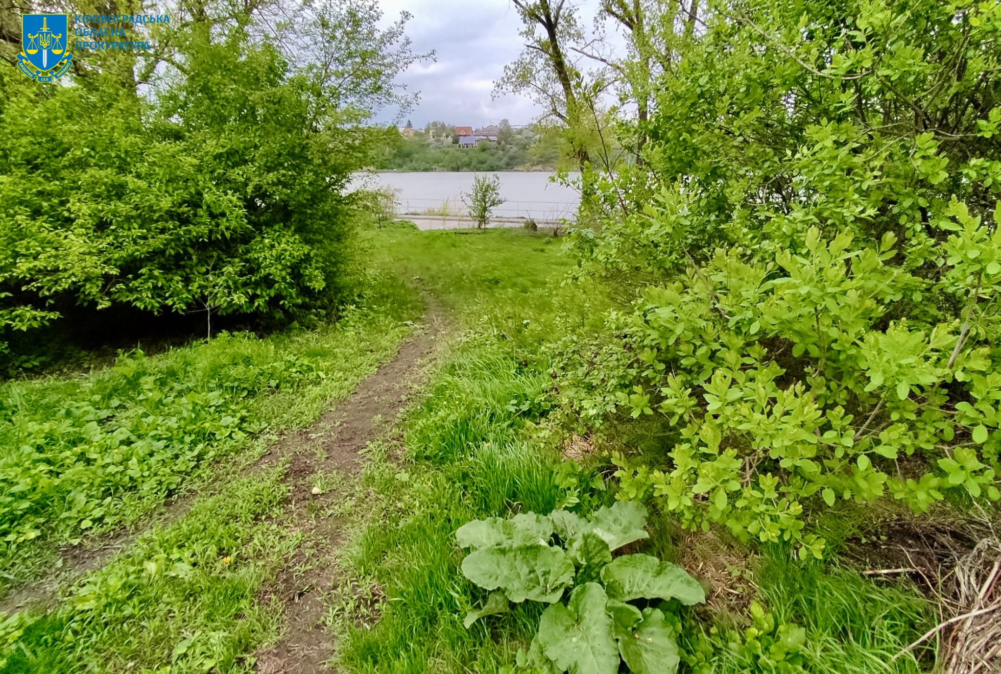Прокуратура запобігла незаконній оренді 2,8 га рекреаційних земель у Кропивницькому